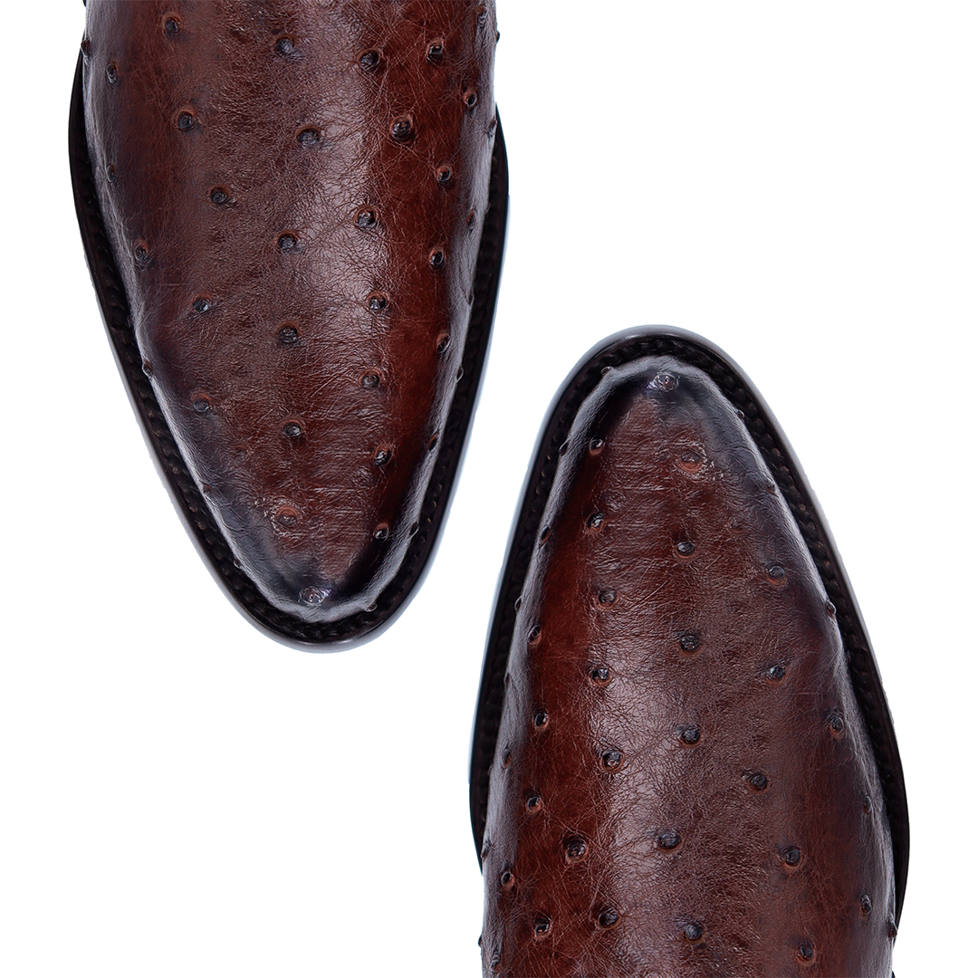 Bota Modelo Europa en Piel de Avestruz BJ109