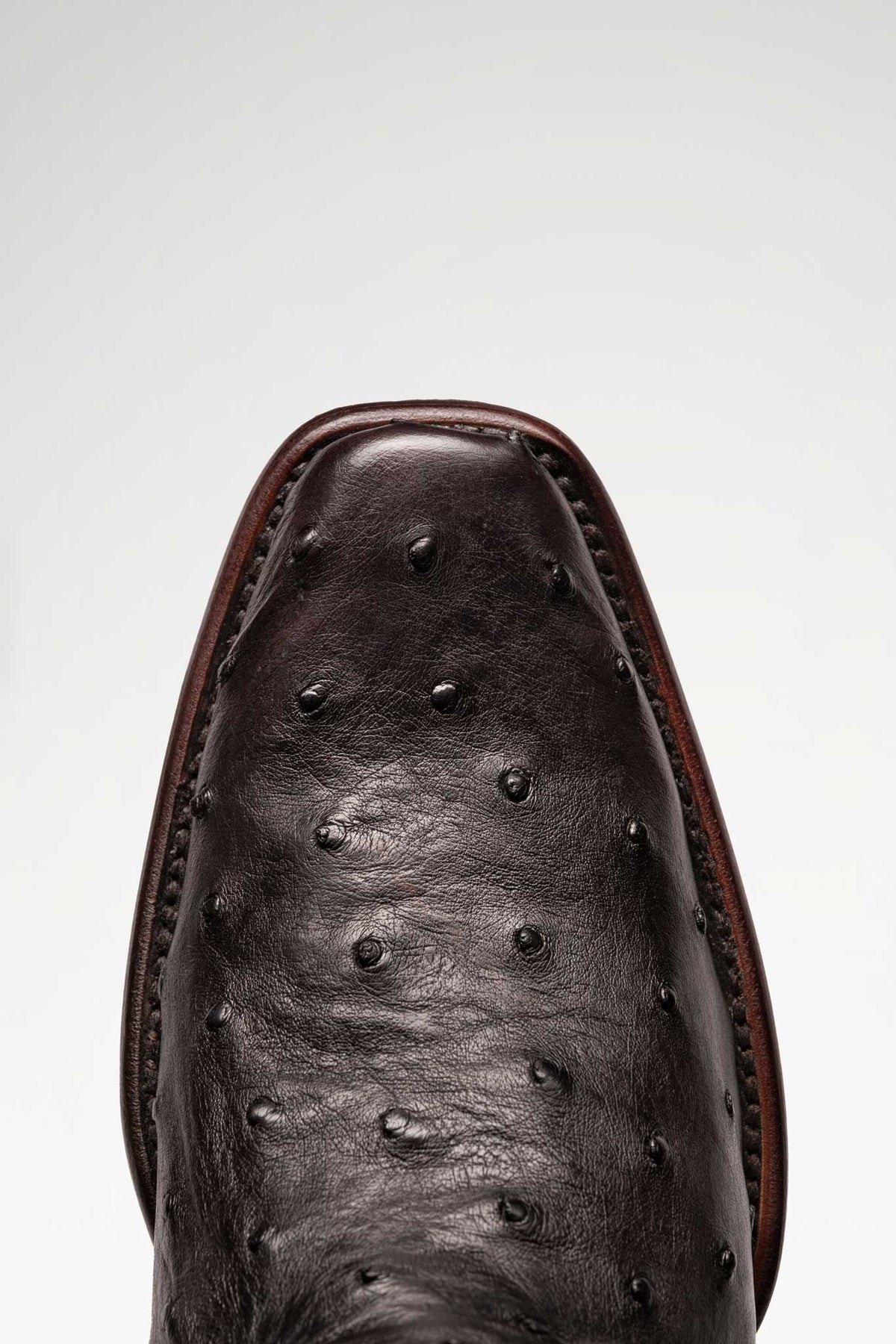 Bota de piel Edición Especial Hudson Avestruz color Negro