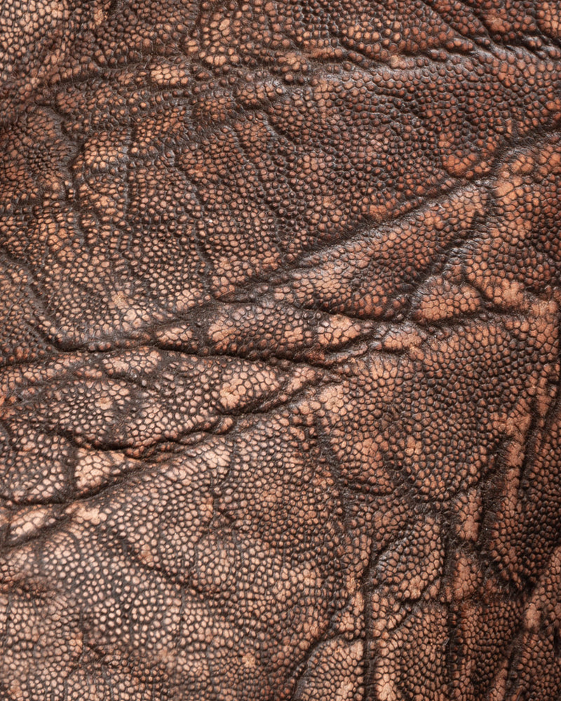 elefante